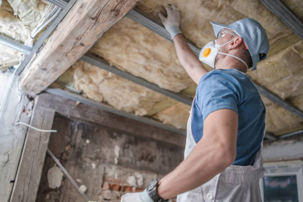 Best Attic Insulation Installation  in Trooper, PA