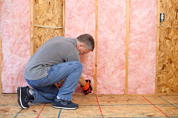 Best Insulation Removal  in Trooper, PA